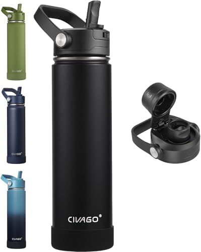 24 oz Insulated Stainless Steel Water Bottle with Removable Straw